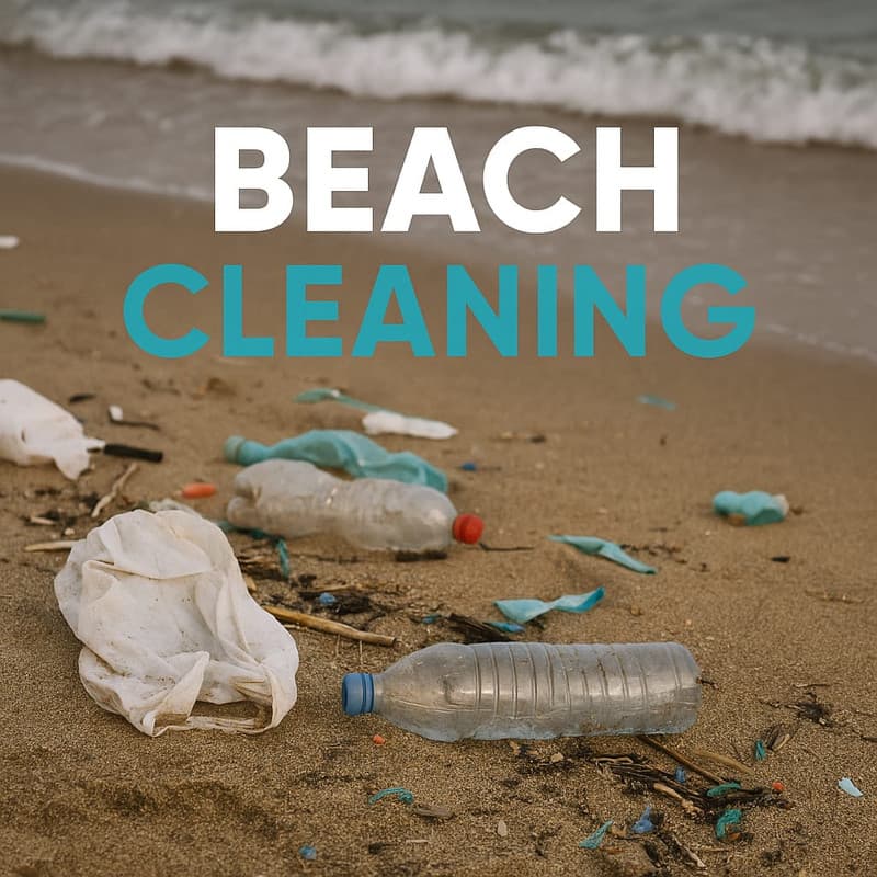 Beach Cleaning & Recycling